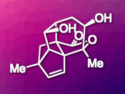 Total Synthesis of Artatrovirenol A