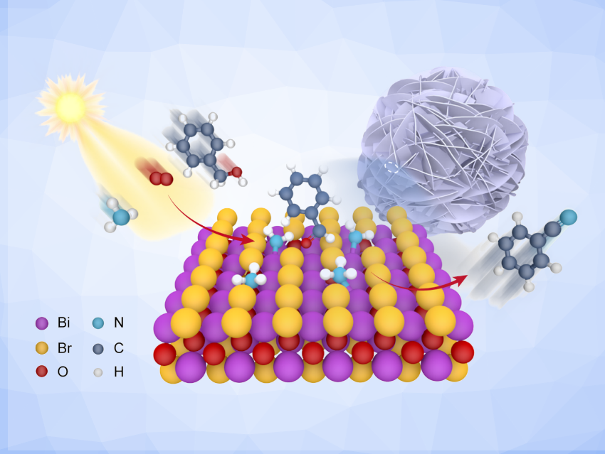 Photocatalytic Synthesis of Benzonitriles on BiOBr Nanosheets