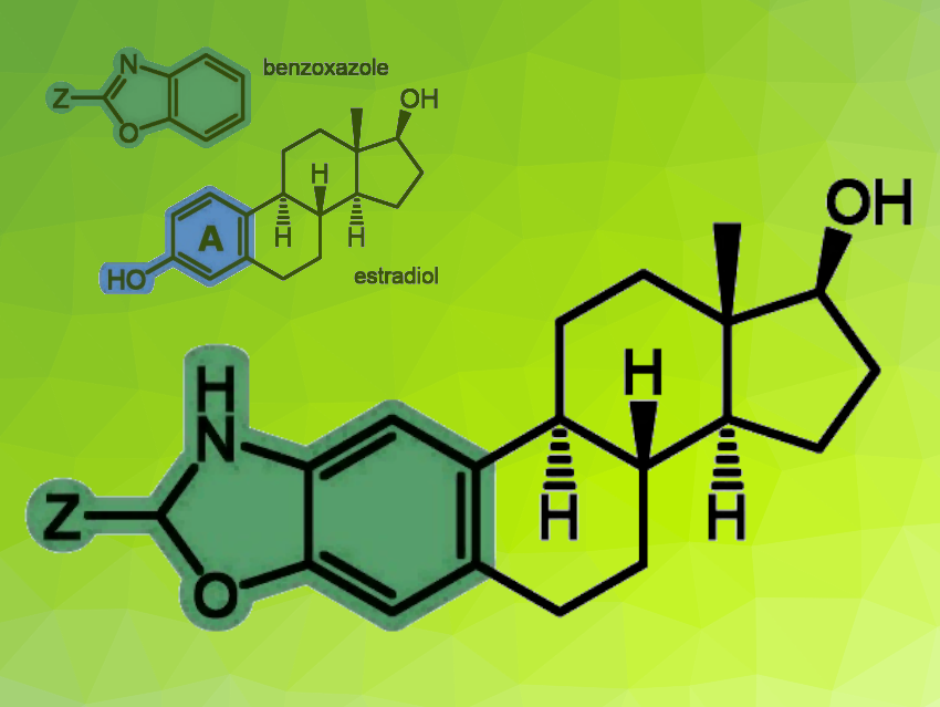 Benzoxazole–Estradiol Chimeras with Anticancer Activity