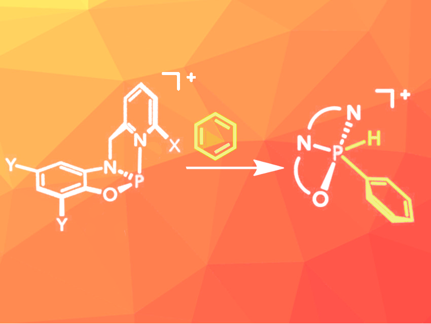 Constrained Phosphenium Ions Activate C–H Bonds