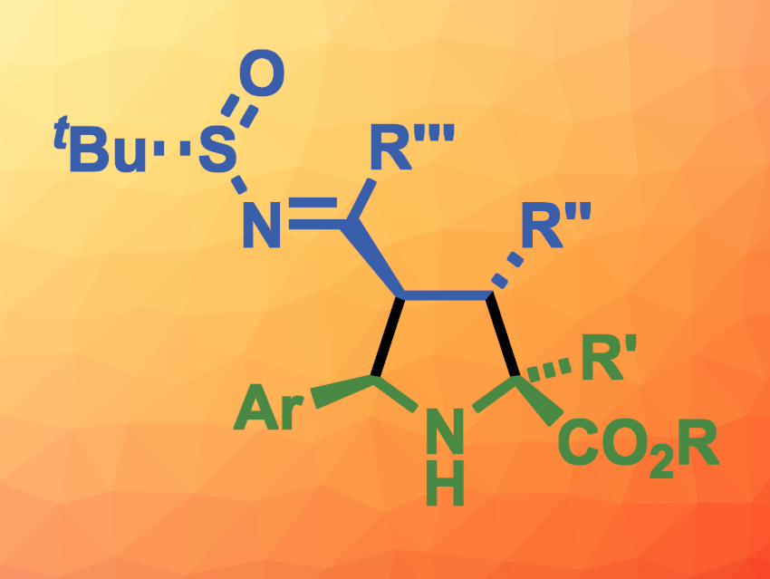 Stereoselective Path to Densely Substituted Pyrrolidines