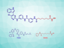 Dual Target Inhibitor Blocks Cancer Cell Migration