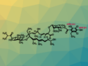 Expanding Fidaxomicin’s Spectrum of Antibiotic Activity