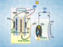 Efficient Biohybrid Batteries