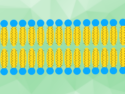 Liposomes with Methyl-Branched Hydrocarbons for Improved Drug Delivery