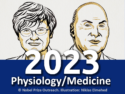 Nobel Prize in Physiology or Medicine 2023