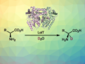 Stereoselective Biocatalytic α-Deuteration of L-Amino Acids