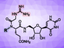 Stabilizing the Antibacterial Natural Product Pseudouridimycin