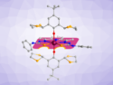 Aggregation Prevents Information Loss in Single-Molecule Magnets