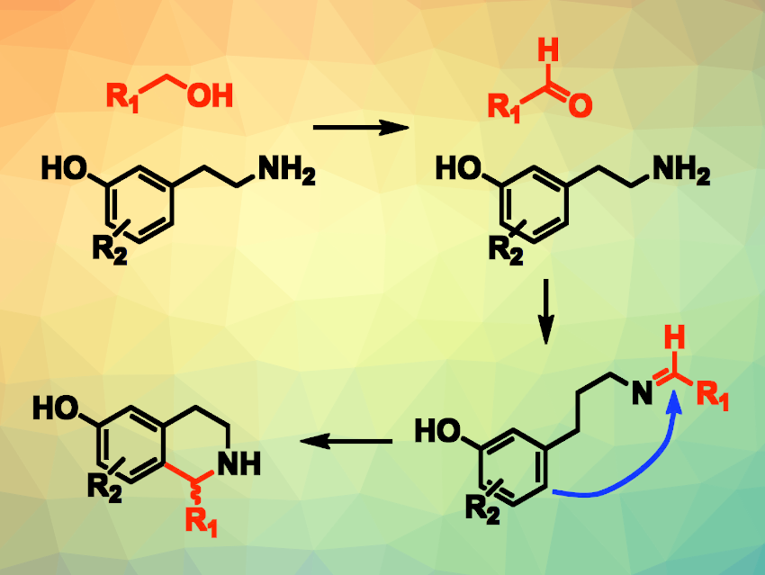 Combining Biocatalysis with a Biocompatible Reaction for One-Pot Syntheses