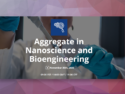 Aggregate in Nanoscience and Bioengineering