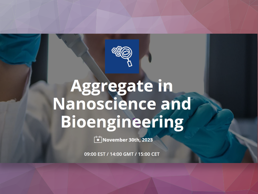 Aggregate in Nanoscience and Bioengineering