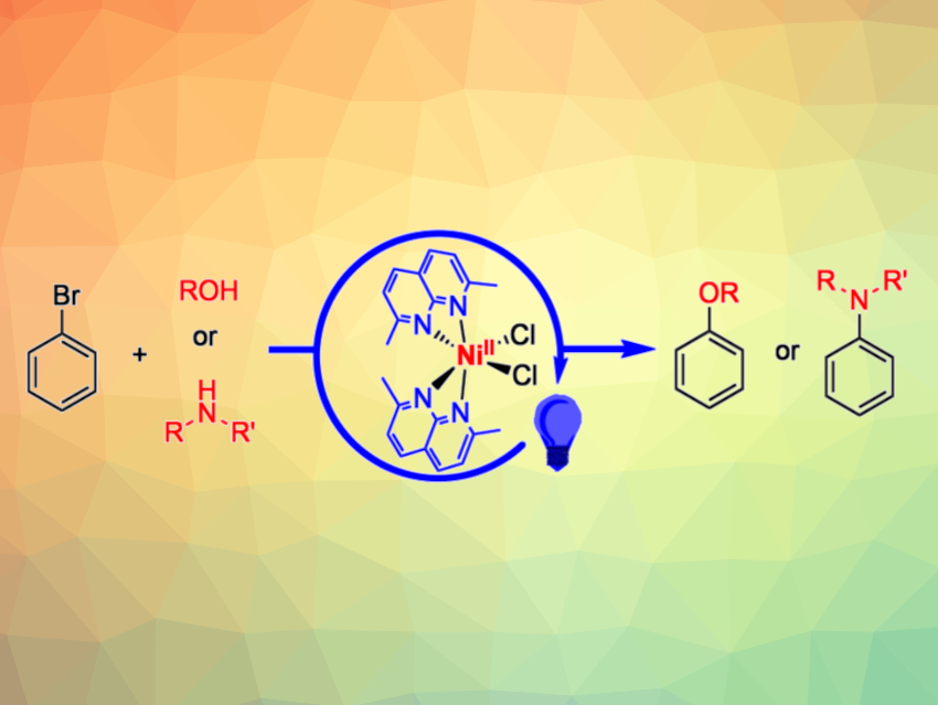 Carbon–Heteroatom Cross-Coupling Catalyzed by Nickel Naphthyridine Complexes