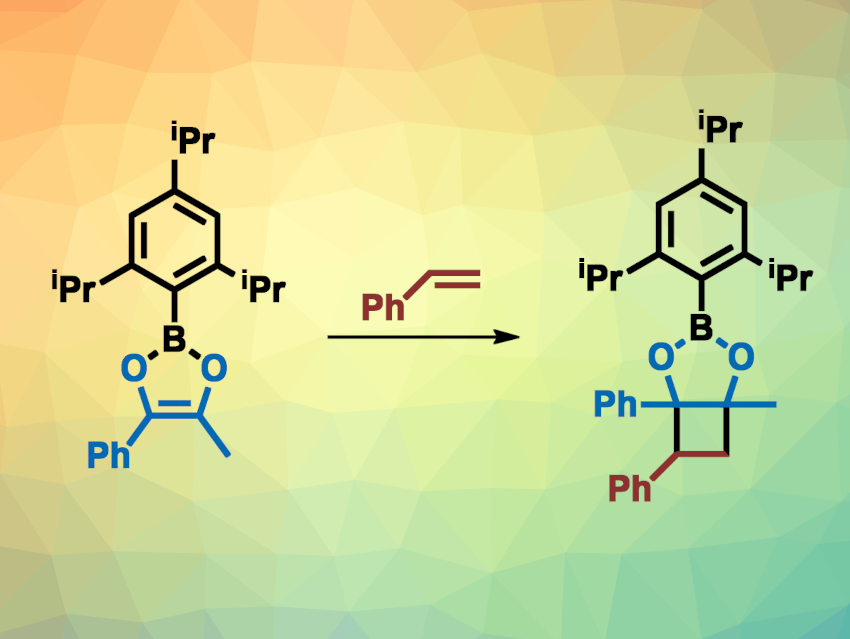 [2+2]-Cycloadditions with a Dioxaborole
