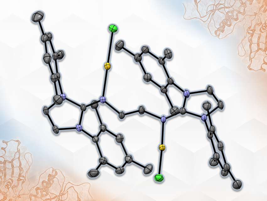 N-Heterocyclic Imine Gold Complex with Anticancer Activity