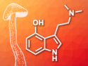 Synthetic Psilocin Prodrugs against Anxiety