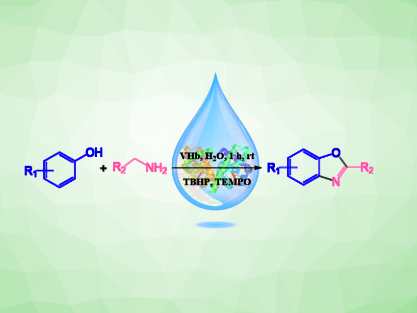 Bacterial Hemoglobin as a Biocatalyst for the Synthesis of Benzoxazoles