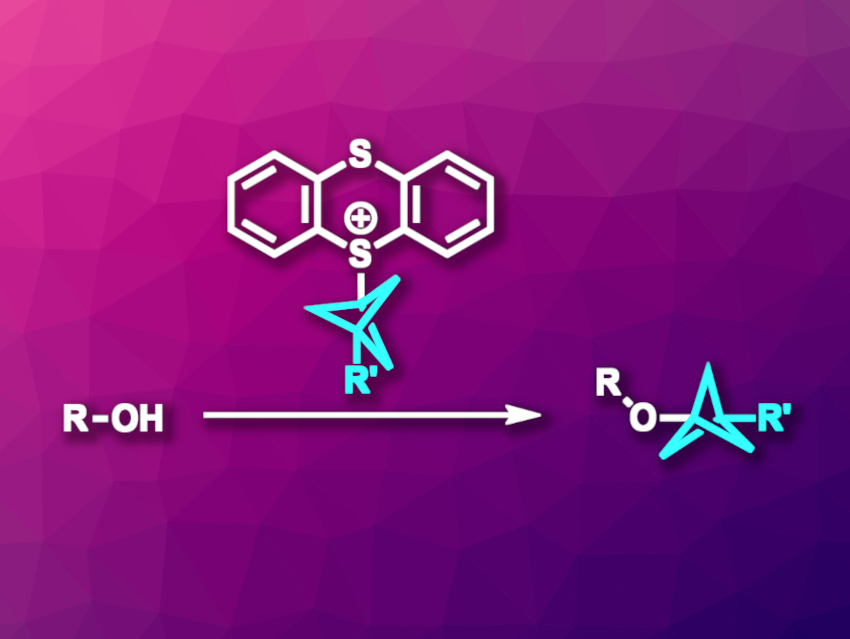 Thianthrenium Reagents for Bicyclopentylation Reactions