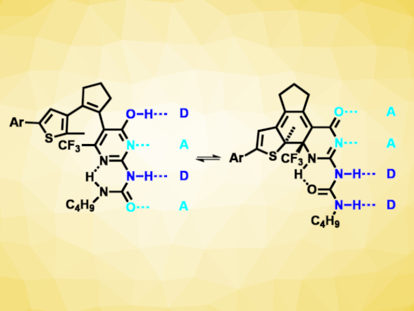 Four Adjacent Hydrogen-Bonding Groups Switched by Light