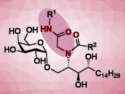 New Adjuvants for Improved Vaccines