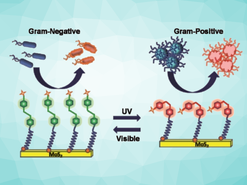 Photoswitchable Bactericide