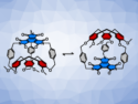 A Solvent-Dependent Chiral Switch