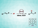 Cobalt Porphyrin Complex Catalyzes Oxidation of Styrenes into Ketones