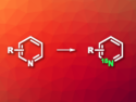 New Protocol for Labeling Azines with 15N