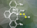 Azoimido Ligands in Catalysis