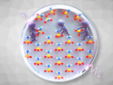 Angewandte Chemie 5/2024: Locally Ordered