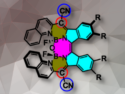 Optically Active β-Isoindigo-Based BODIPY Analogs