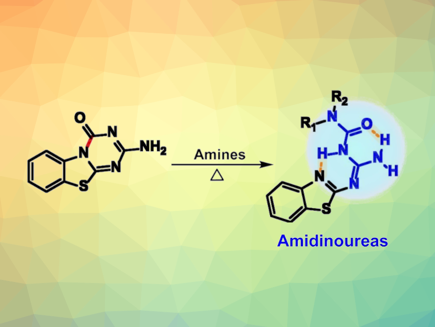 New Anticancer Amidinourea Analogues