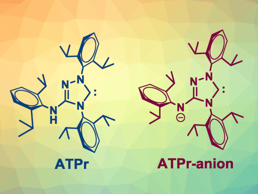 New NHC Ligands for Pd-Catalyzed Reactions of Aryl Chlorides