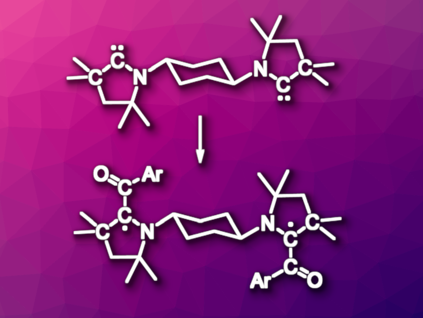 Diradicals Built from Bis-Cyclic(alkyl)(amino)carbenes