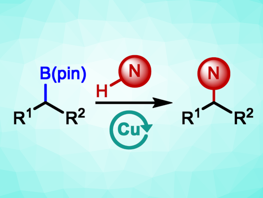 Copper-Catalyzed Coupling of Alkylboronic Esters and Aliphatic Amines