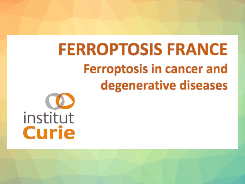 1st Ferroptosis France Symposium 2024