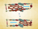 “Metallobox” Hosts Moving Guest Molecules