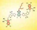 Nonfused Ring Electron Acceptors for Efficient Organic Solar Cells