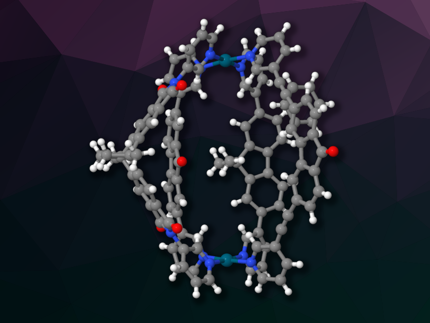 Self-Sorting Gives a Single Cage Type Using Four Different Ligands