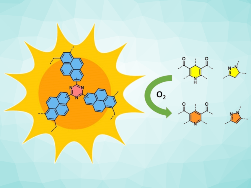 Porous Organic Polymers as Photocatalysts for the Aromatization of N‐Heterocycles