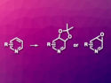 Dearomatization of Pyridines Using Arenophiles