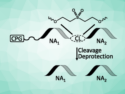 Tandem Oligonucleotide Synthesis Method for DNA and RNA