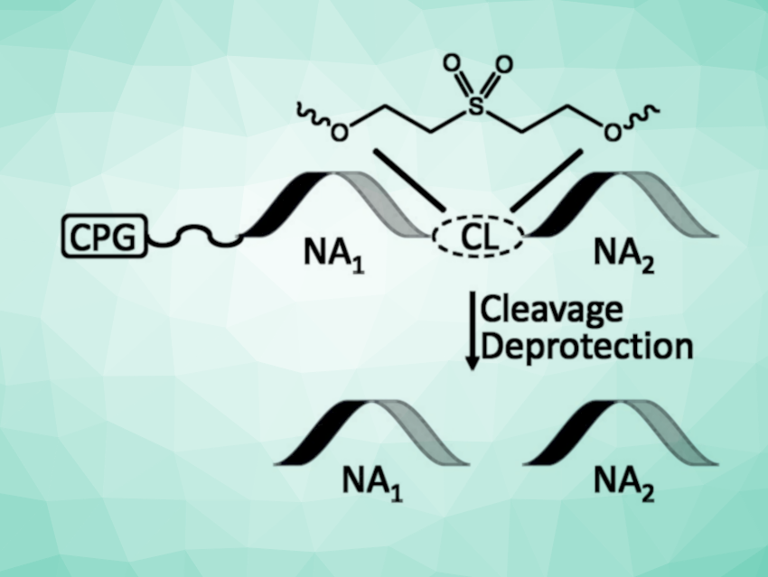 Tandem Oligonucleotide Synthesis Method for DNA and RNA