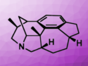 Total Synthesis of (–)-Daphenylline