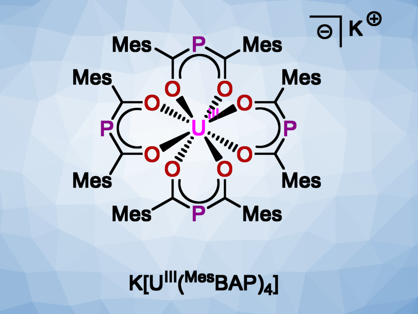 A Trivalent Bis(acyl)phosphide Complex of Uranium
