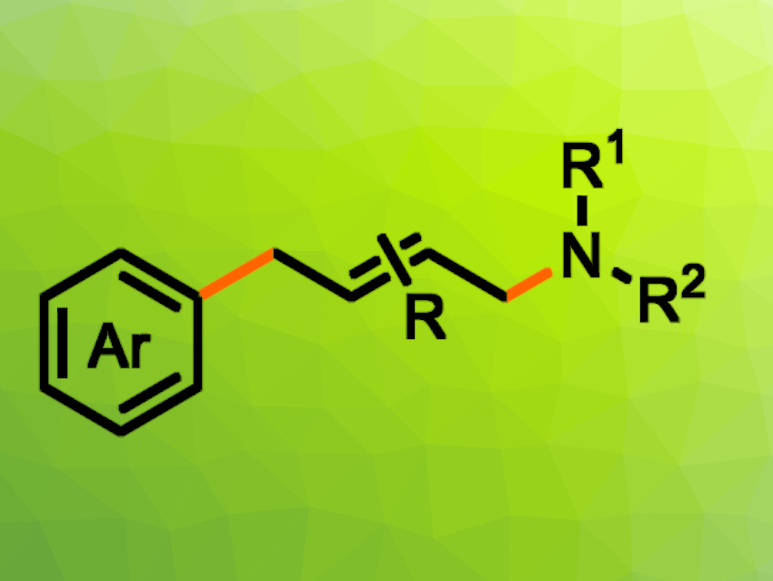 One-Step Process for the Synthesis of Complex Allylamines