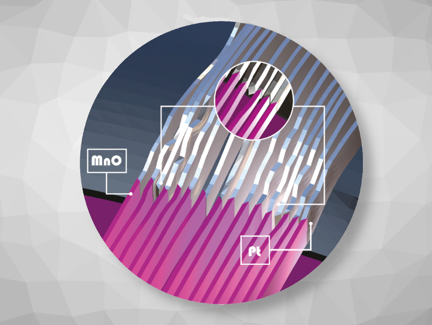 Angewandte Chemie 8/2024: Rational Design