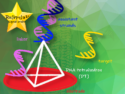 Easier Detection of GM Maize