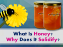 What Is Honey? Why Does It Solidify?