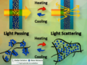 Tunable Cellulosic Hydrogels Enable Dynamic Solar Control in Smart Windows